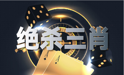 二肖中特长期免费安卓体验服下载V